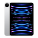iPad Pro 11" 4GEN